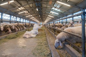 Λήψη μέτρων για τη διαχείριση φυσικών καταστροφών από τους κτηνοτρόφους